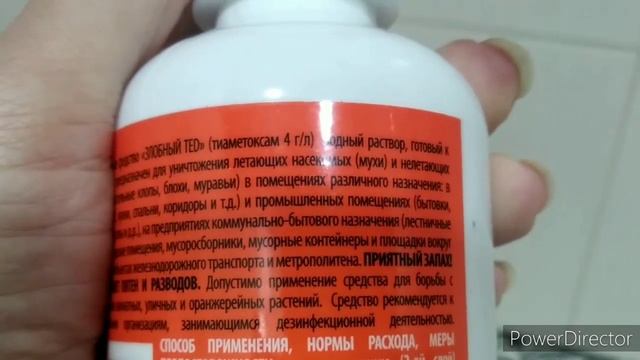 ?Новая орхидея?