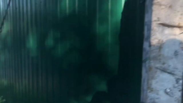 ЧТО БУДЕТ ЕСЛИ НАЖАТЬ Ф1? смотреть онлайн