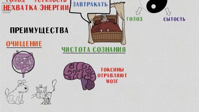 Почему.чтобы похудеть иногда нужно голодать? смотреть онлайн
