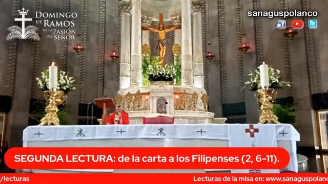 Domingo de Ramos de la Pasión del Señor - Bendición de los Ramos смотреть онлайн