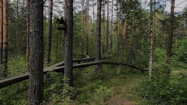 Колтушские высоты - лес, норшор, трамплины, трассы смотреть онлайн