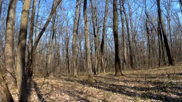 Одиночный поход.. Памятник природы и шашлыки.. почему нет!? смотреть онлайн