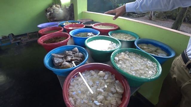 Шри-Ланка апрель 2022г. ч.3. Экскурсия в глубь острова. смотреть онлайн