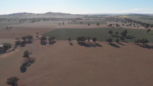 Por que 95% da Austrália está vazia? смотреть онлайн