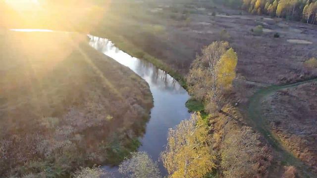 осень смотреть онлайн