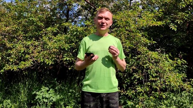 Пирит - Золото дураков! смотреть онлайн