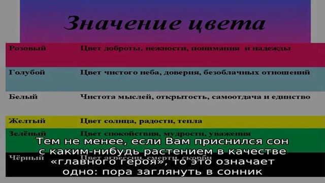 Поливать растения в горшках смотреть онлайн