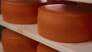 Сыры Кубани (Николаевские сыроварни)