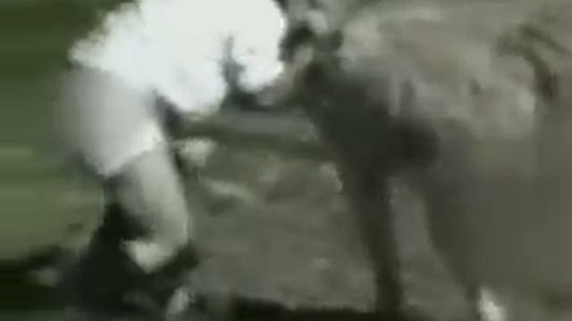 скрещивание армян с животными- YouTube.mp4 смотреть онлайн