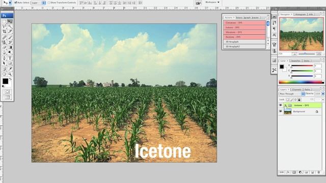 Vintage Photo Actions