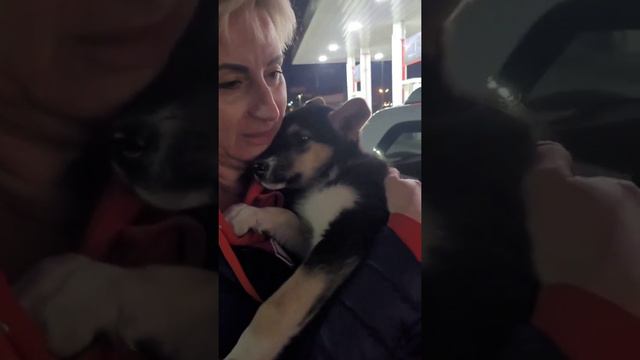 Ирма и Ника ищут семьи!помогите им стать счастливыми,я обещал☺️Буду признателен.+79165764901 Игорь смотреть онлайн