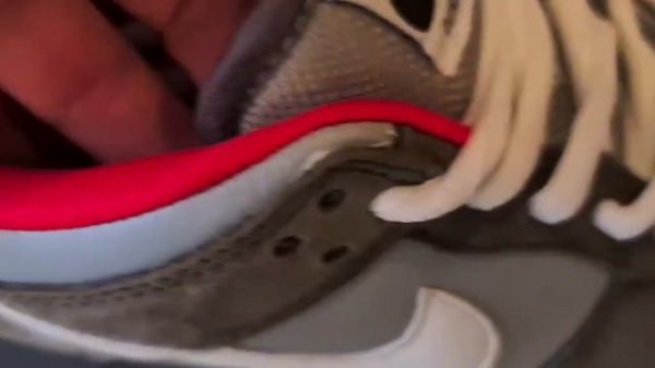 NIKE DUNK LOW PRO SB Голубь