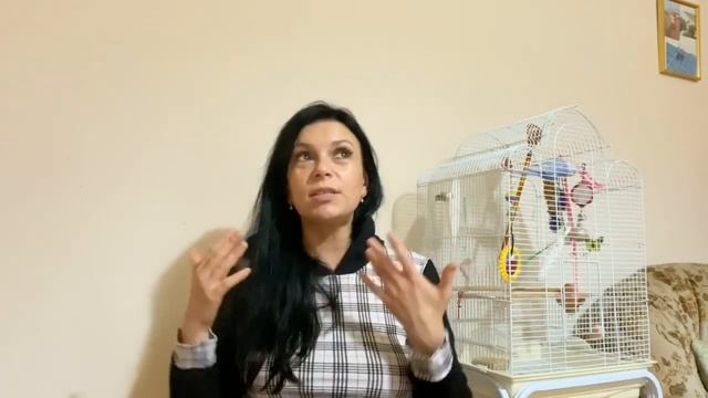 Поиски работы в Англии.Часть 1 ????ЭМОЦИОНАЛЬНО смотреть онлайн