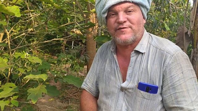 What Is Sustainable Agriculture With Krishna McKenzie - Your Road Back To Nature смотреть онлайн