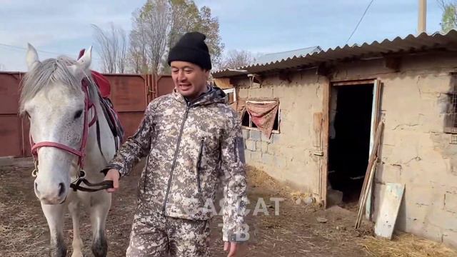 НУРЖИГИТ КАДЫРБЕКОВ АТ АДАМДЫН КАНАТЫ смотреть онлайн
