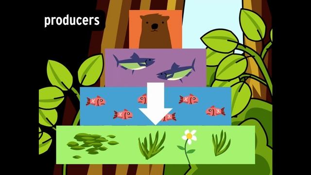 Food Chains - BrainPOP смотреть онлайн