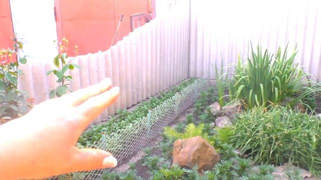 ЦВЕТОЧНЫЕ ГОРШКИ ИЗ ХЛАМА. Цветы на клумбе. смотреть онлайн