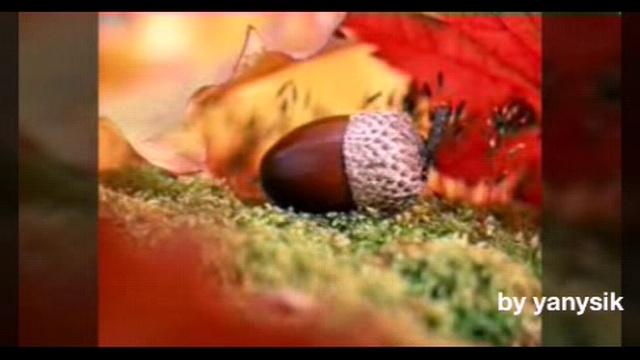 краски осени