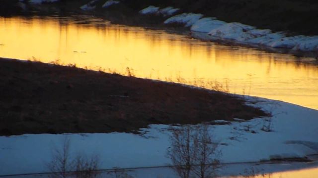 Журавли и закат в апреле в Городище смотреть онлайн