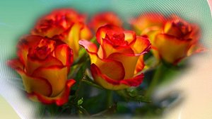 Футаж. Цветочный фон 51