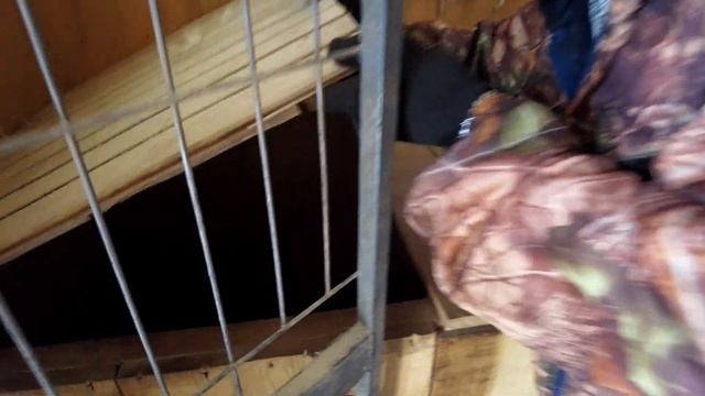 Где жили олигархи каменного века? И другие уральские истории:) смотреть онлайн