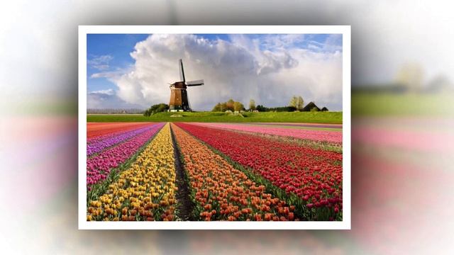 Страны мира: Нидерланды смотреть онлайн