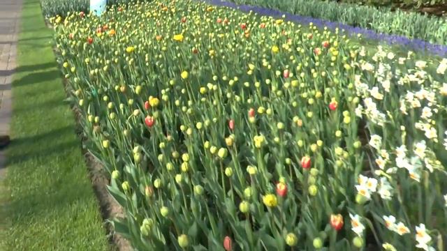 The most beautiful gardens of the world First part смотреть онлайн