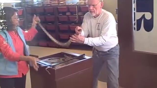Man Bitten by Eastern Rattlesnake смотреть онлайн