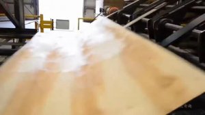 Завораживающая переработка деревьев , леса распил досок лесозаготовка