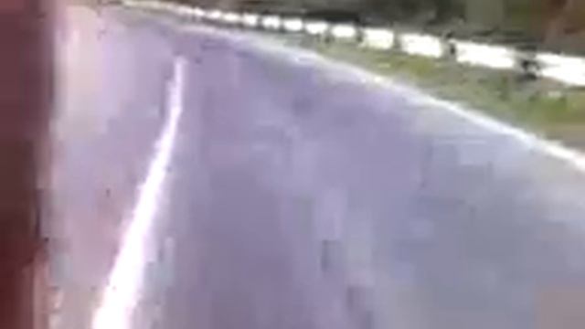 Мото минск собака на мото  цикле