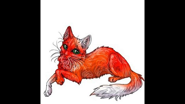 Коты Воители. Белка.