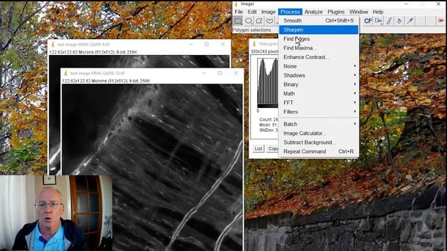 ImageJ Contrast Enhancement смотреть онлайн