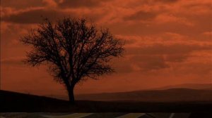 Adile Kurt Karatepe - Mektebin Bacaları ( Muş )