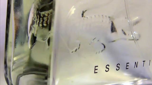 Духи Lacoste Essential