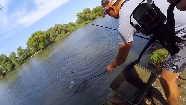 Как правильно насадить на крючок горох, кукурузу, перловку? Растительные насадки. смотреть онлайн