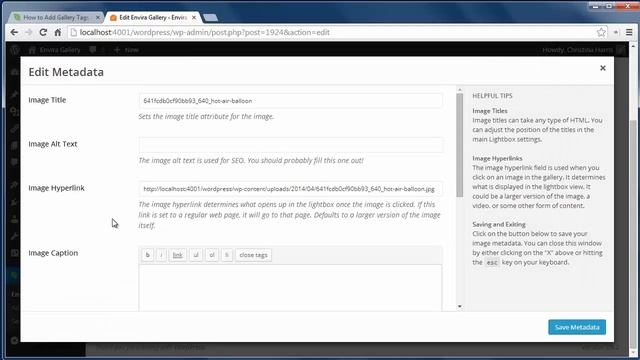 How to Add Gallery Tags in WordPress by using Envira Gallery смотреть онлайн