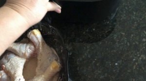 Куриные ножки в аэрогриле быстро и вкусно