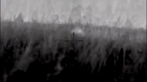 Охота на медведя на овсах с тепловизором часть 2