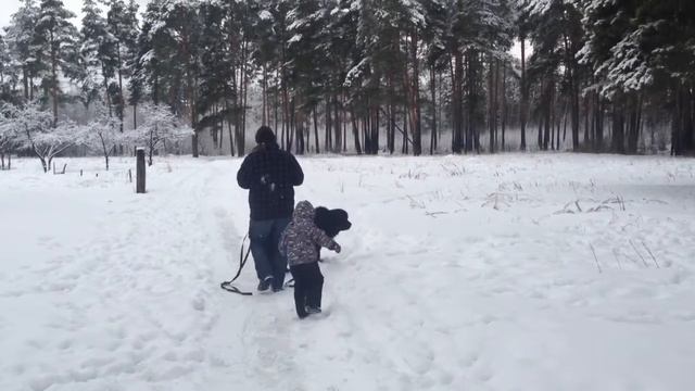 Кто говорил. Читает автор смотреть онлайн