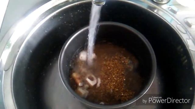 Барс.Как сварить обед для собаки. смотреть онлайн