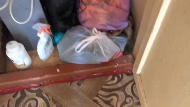 ПРОДАЕТСЯ 3 КОМНАТНАЯ КВАРТИРА ЗА 670 000 НА ЮГЕ В ЦЕНТРЕ С ПОГРЕБОМ И ЗЕМЛЕЙ. ПОИСК ДОМА НА ЮГЕ. смотреть онлайн
