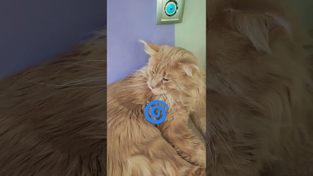 человеческий палец смотреть онлайн