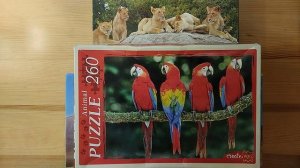 Ваши дети собирали пазлы?