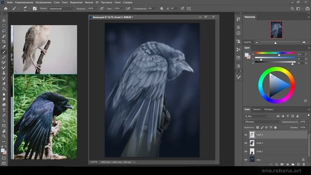 Нарисовала птичку быстро и без боли, ЧО#5 / Photoshop painting process 'Black Company' #5 смотреть онлайн