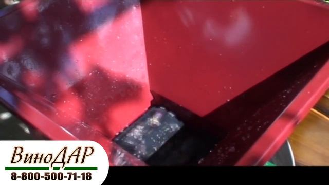 Приготовление виноградного сока с помощью мялки, пресса и автоклава. Видеоурок. смотреть онлайн