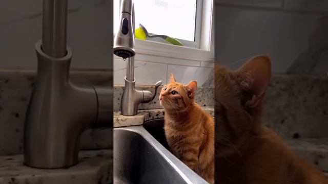 Безмятежность смотреть онлайн