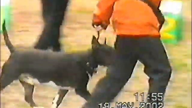 BT Show Moscow 19 May 2002