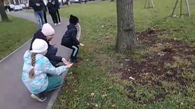 Белки 1 смотреть онлайн