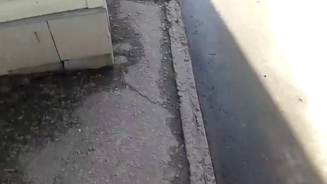 нападение на пешиходов г Курск куда смотрят чинов смотреть онлайн