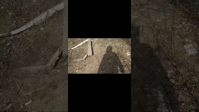Раб Земли, день 1(29 Апреля) смотреть онлайн
